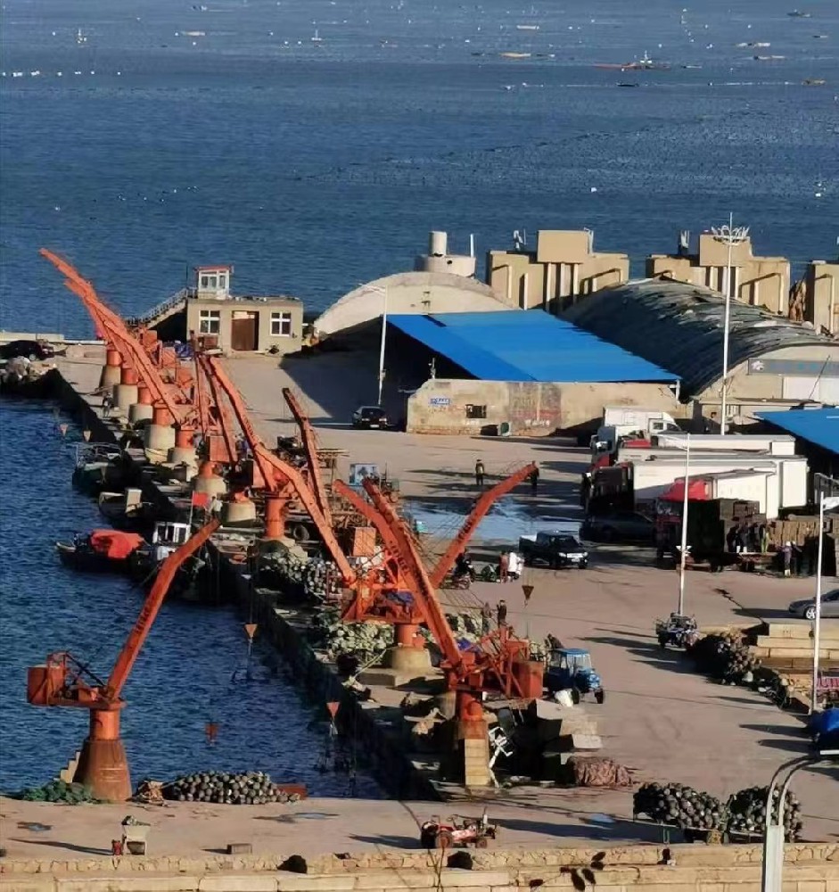 構(gòu)建市場安全防護網(wǎng)，護航經(jīng)銷商共贏之路